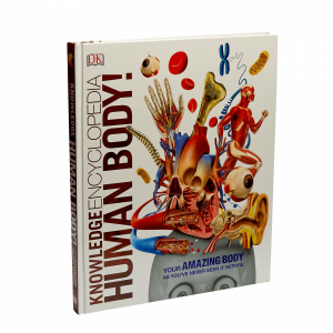 Human Body